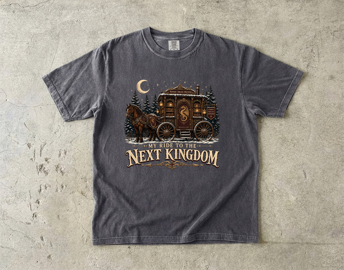 My Ride to the Next Kingdom Romantasy Reader T-Shirt