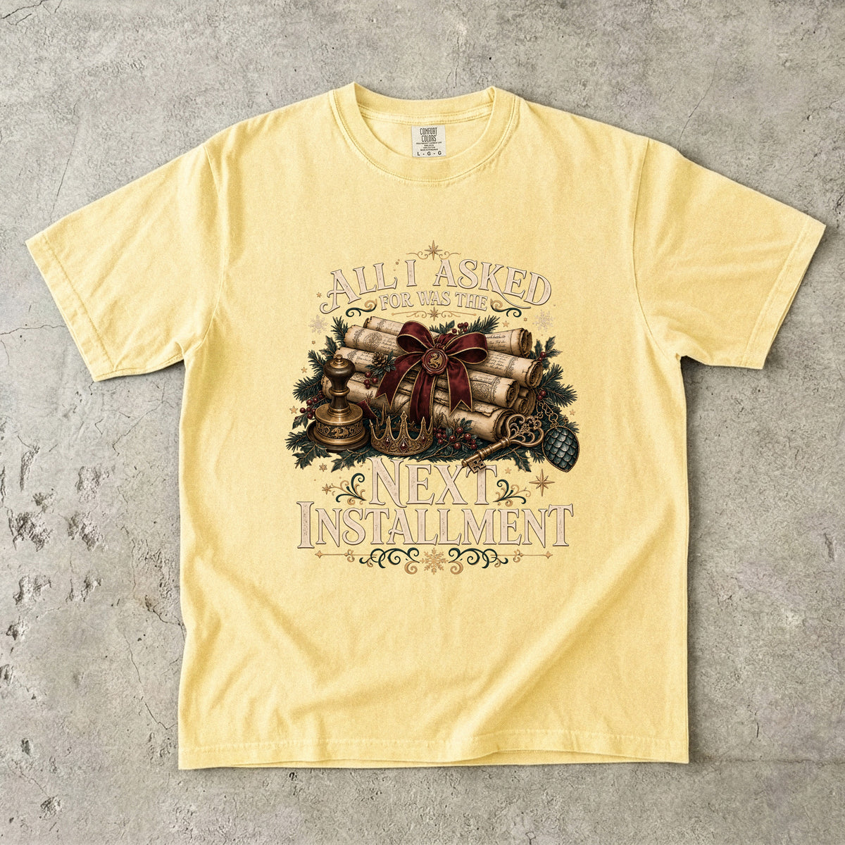 All I Asked For Was the Next Installment Romantasy Reader T-Shirt