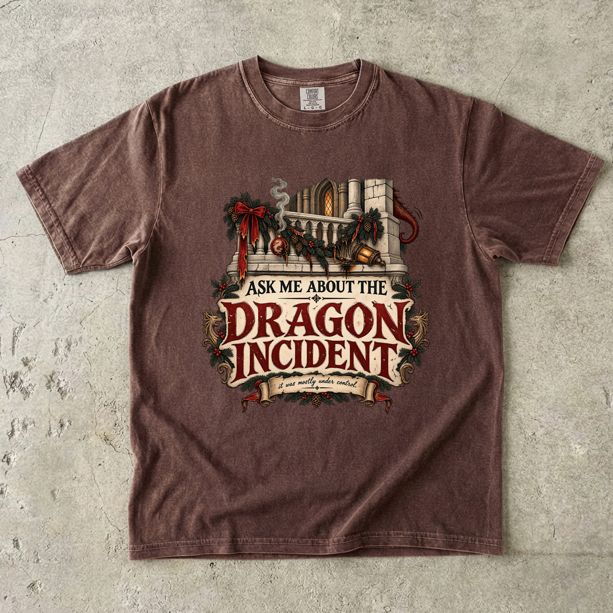 Ask Me About the Dragon Incident Romantasy Reader T-Shirt