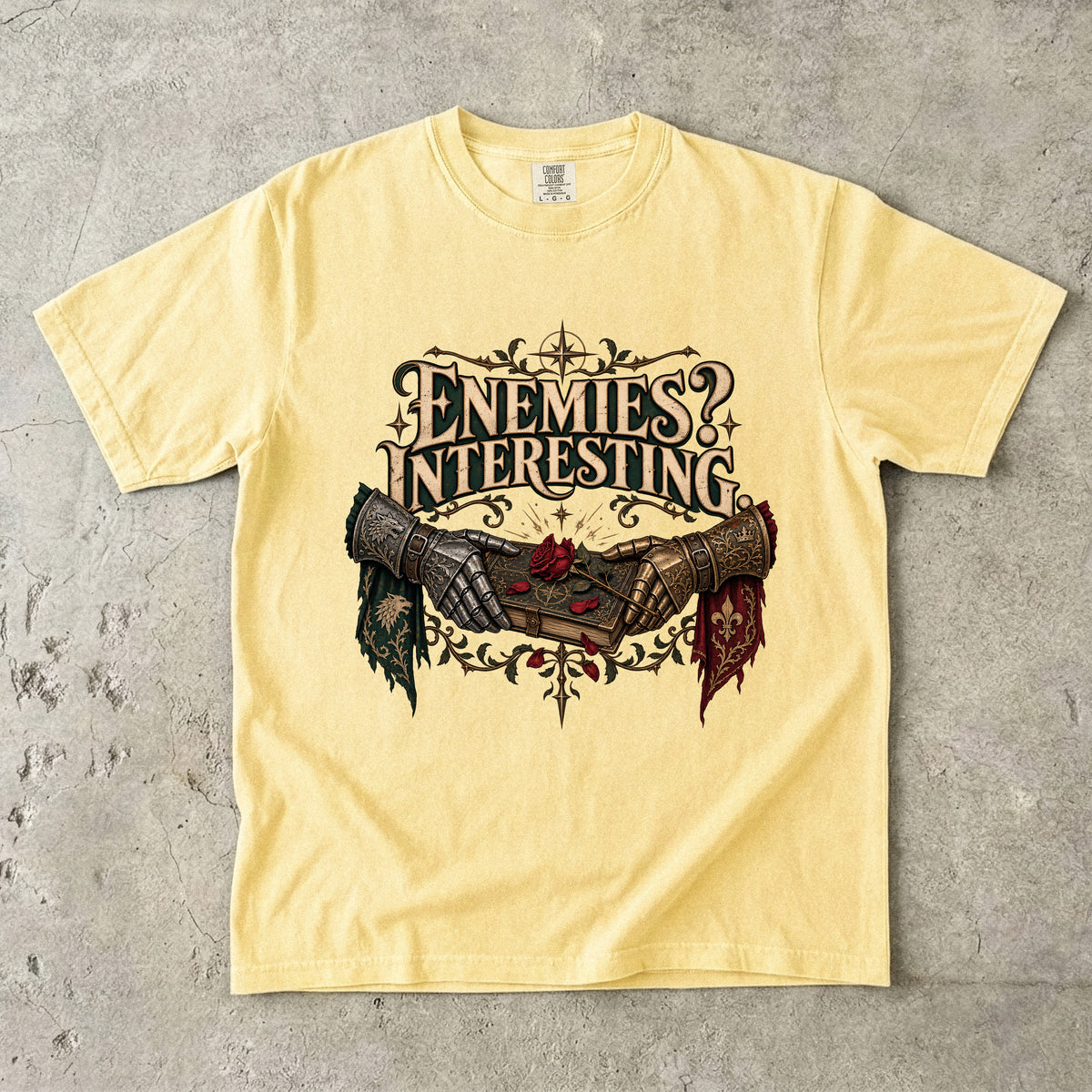 Enemies? Interesting. Romantasy Reader T-Shirt