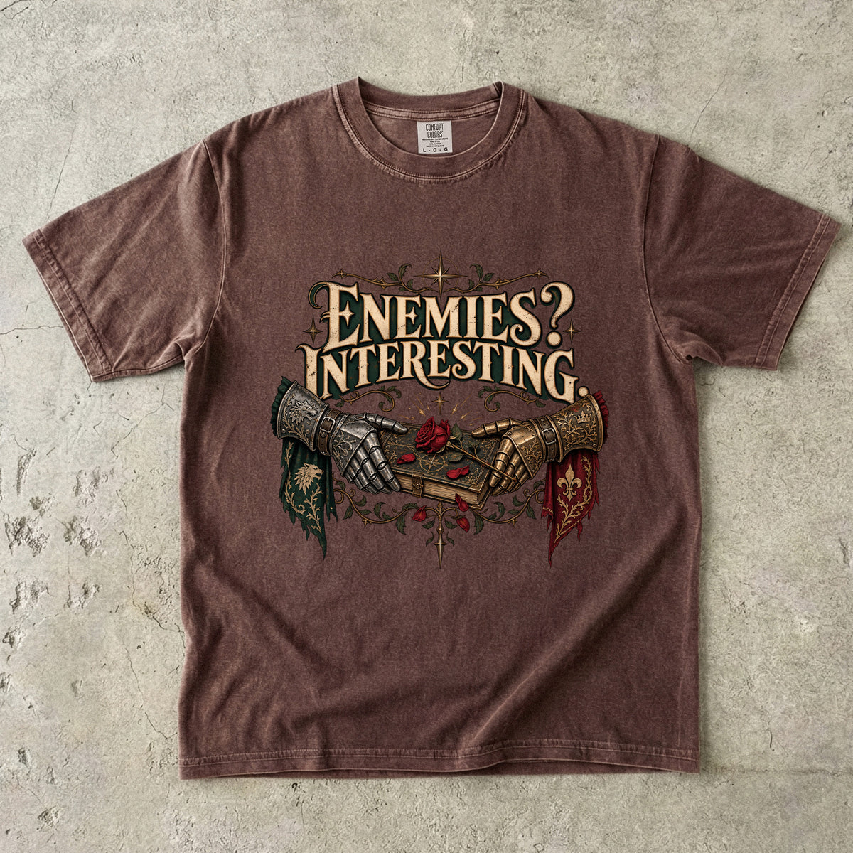 Enemies? Interesting. Romantasy Reader T-Shirt