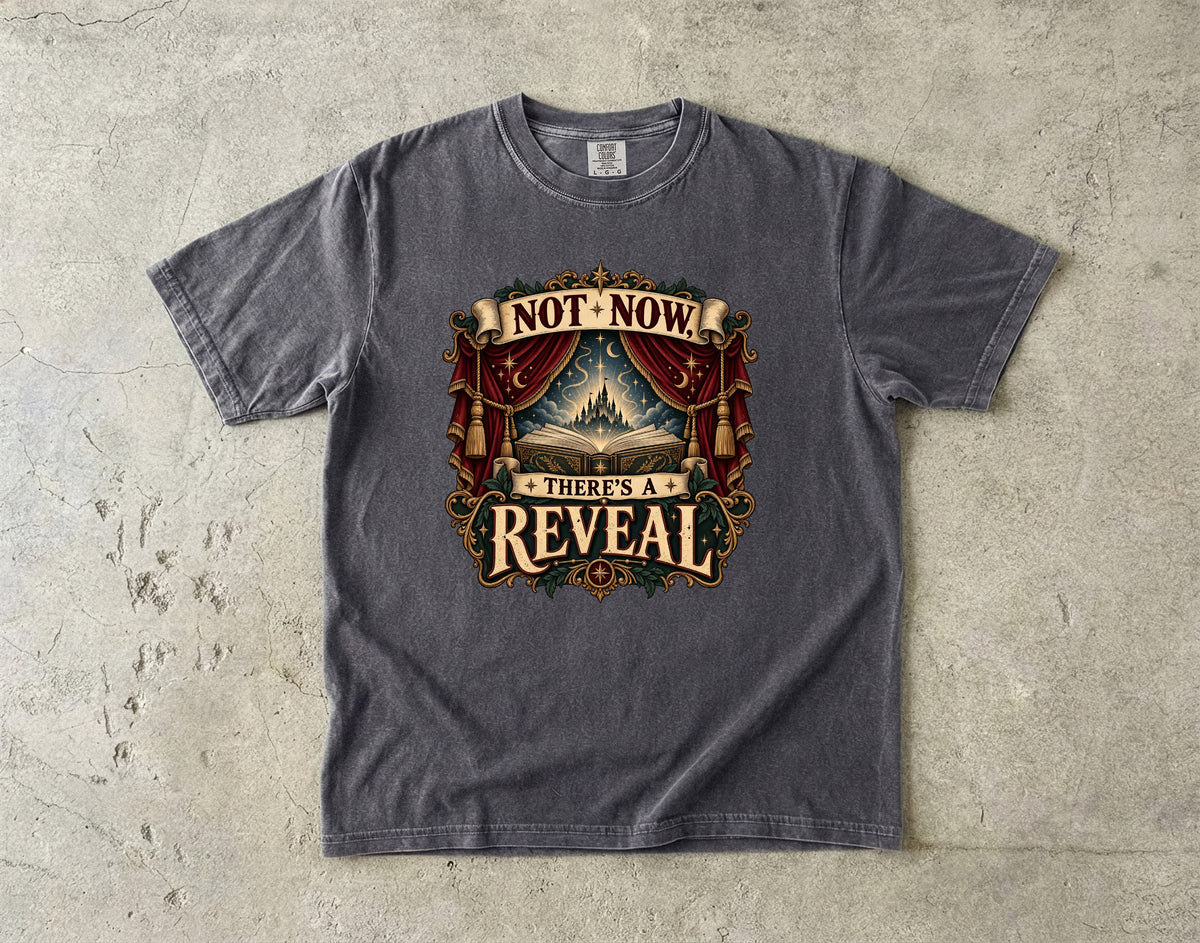 Not Now, There’s a Reveal Romantasy Reader T-Shirt