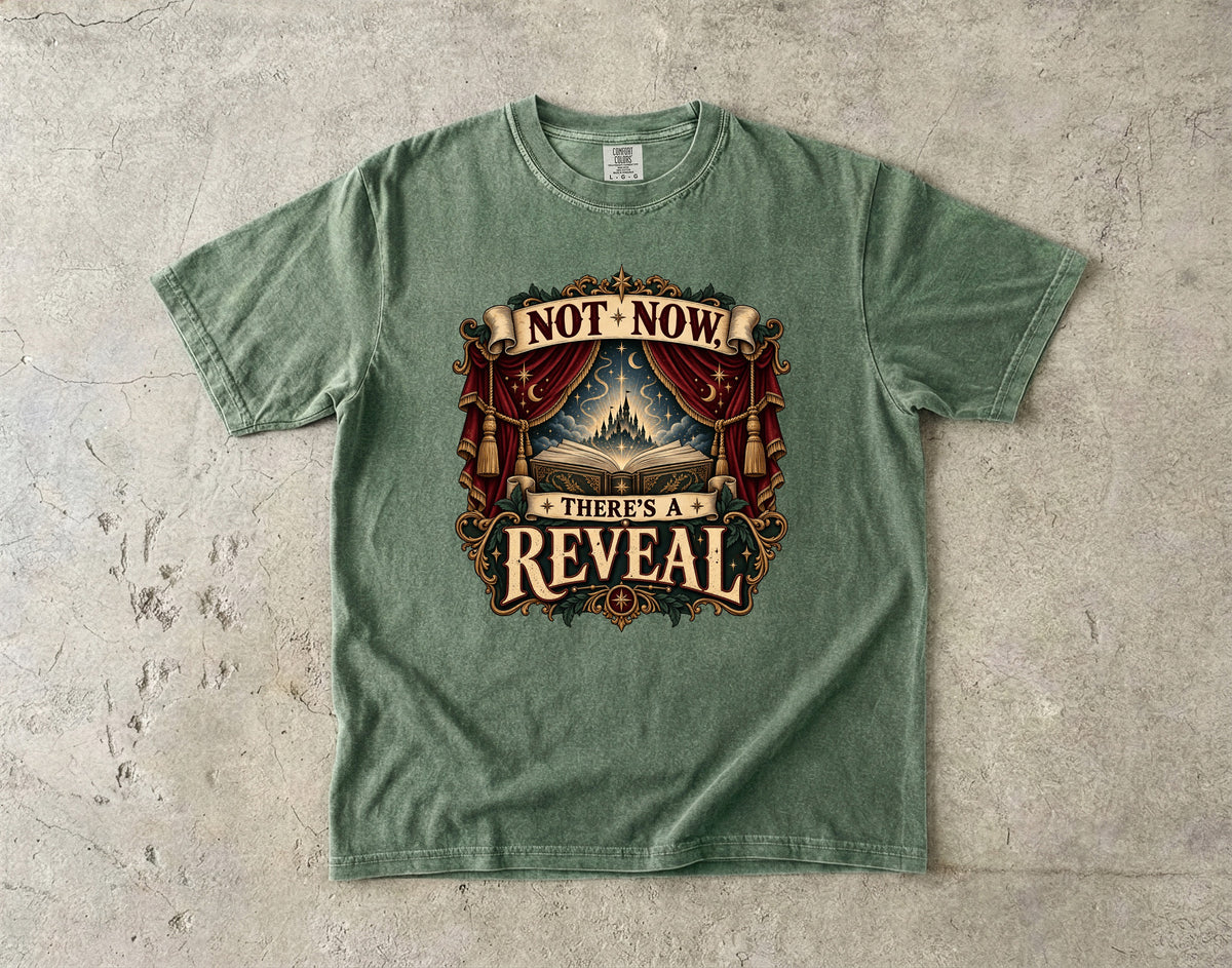 Not Now, There’s a Reveal Romantasy Reader T-Shirt