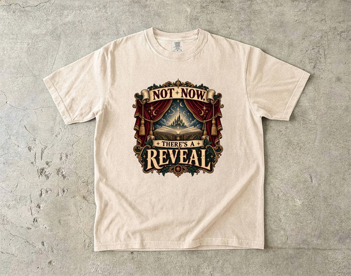Not Now, There’s a Reveal Romantasy Reader T-Shirt